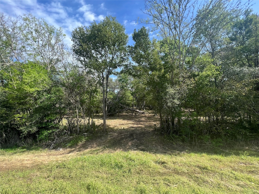 0 Cr 400 Tract 4, Brazoria, TX 77422 - photo 1