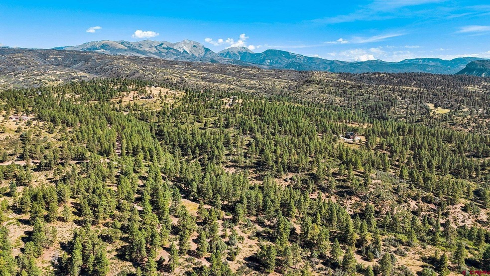 1102 Sheep Springs, Durango, CO 81301 - photo 1