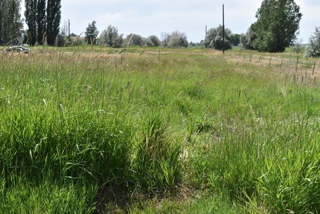 Parcel 5 S 900 W, Blackfoot, ID 83221 - photo 1