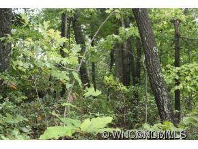Beautifully wooded corner lot