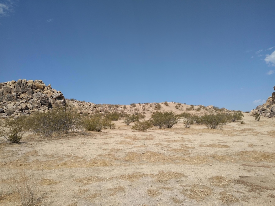 IMG_20210710_095833401_BURST000_COVER