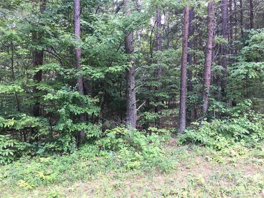 00 Pinnacle Rd, Kings Mountain, NC 28086 - photo 1