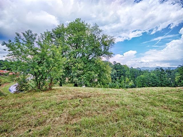 25 & 35 Magnolia Farms Dr unit 4 & 5, Asheville, NC 28806 - photo 1