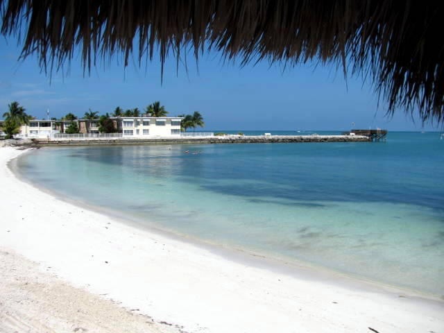 View from Tiki Hut