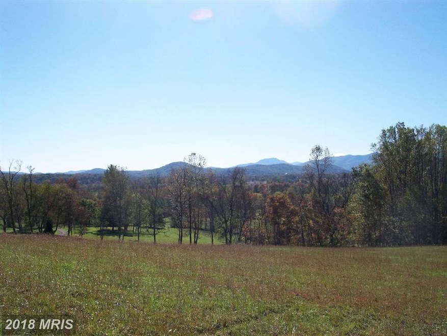 0 Tiger Valley Rd unit 1003961819, Washington, VA 22747 - photo 1