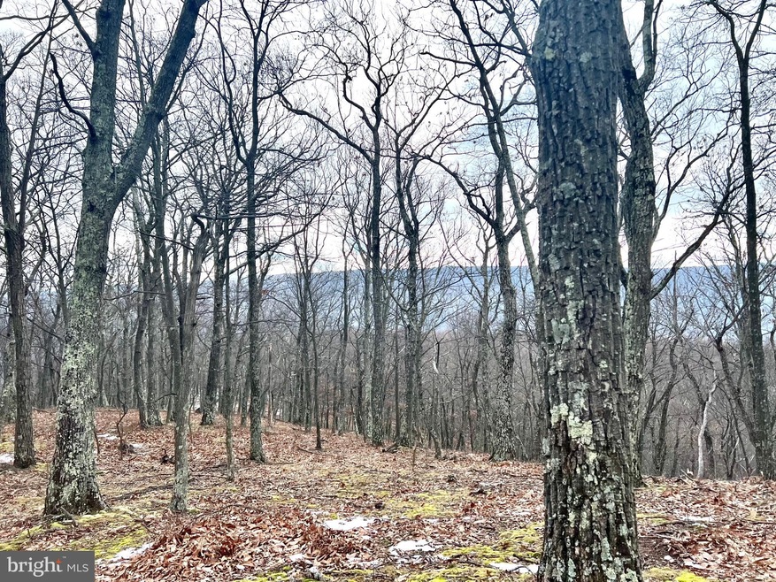 0 Laurel Dale Ridge Section unit WVGT2000170, Maysville, WV 26833 - photo 1