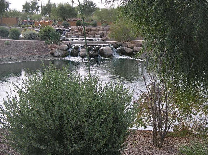 Now THIS IS A BACKYARD VIEW!!!