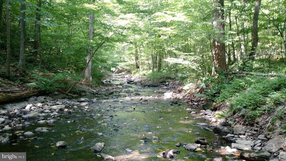 LOT 2D Venus Branch Rd, Shenandoah, VA 22630 - photo 1