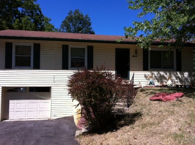 photo-5