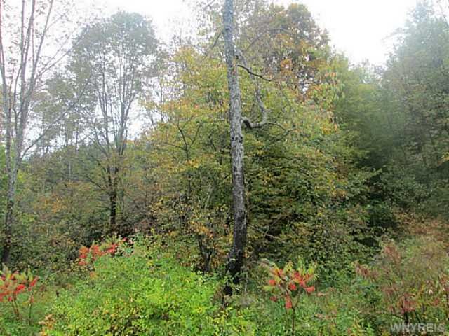 Land/Lot