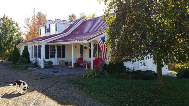 Main View