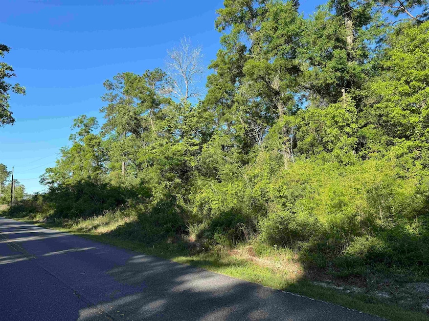 0 Old Bethel Rd, Crawfordville, FL 32327 - photo 1