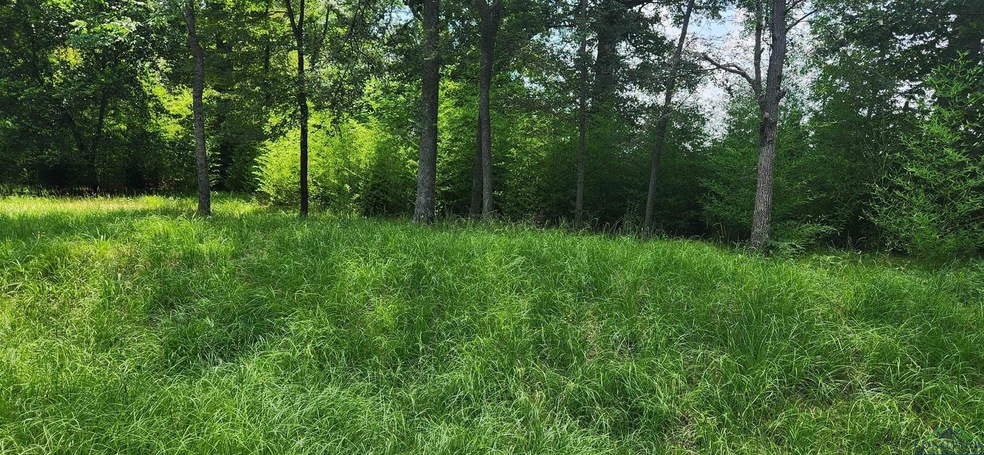 Lots 15-17 Potter Dr unit MCR 3638, Jefferson, TX 75657 - photo 1