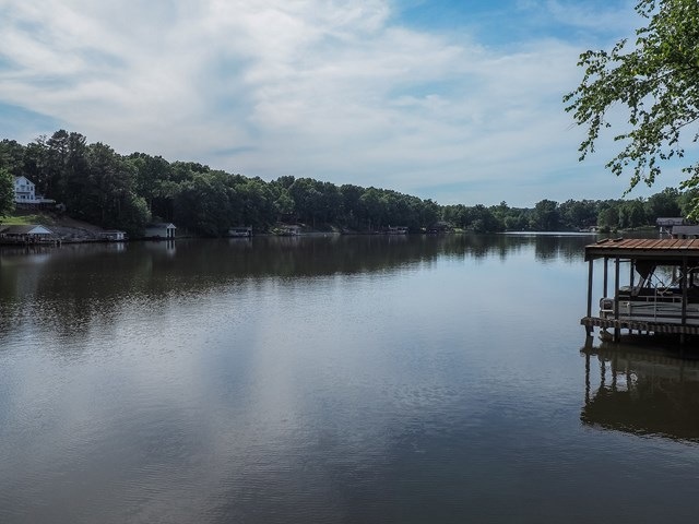 Main View