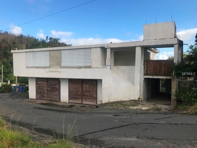 PR-788 Camino Vicente Pedraza, San Lorenzo, PR 00754 - photo 1