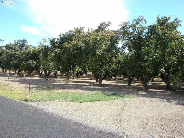 28438 S Elisha Rd, Canby, OR 97013 - photo 1