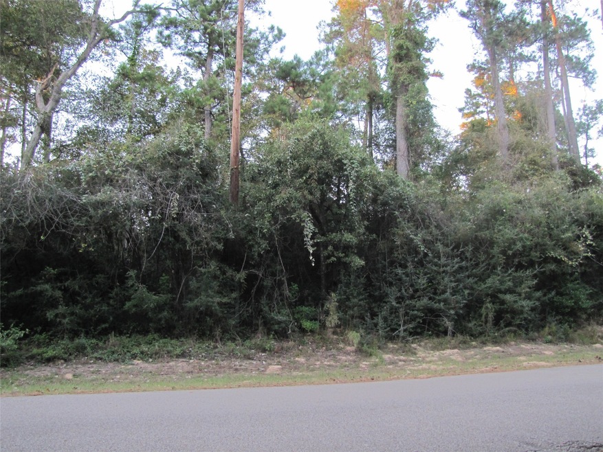 0 Sentinel Oaks, Pinehurst, TX 77362 - photo 1