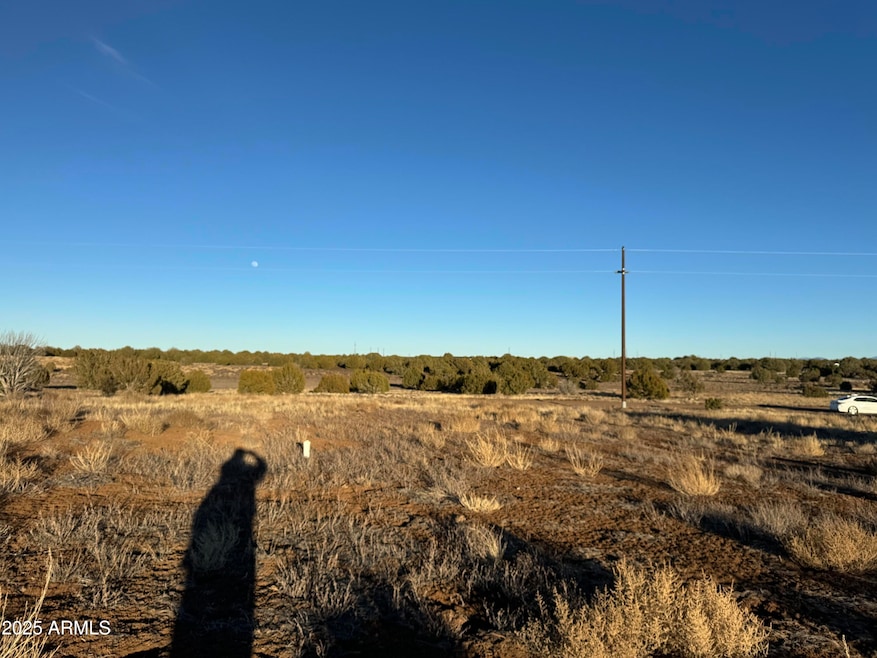 image1 (15)