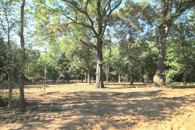 TBD3 County Road 103, Lafayette Springs, MS 38655 - photo 1