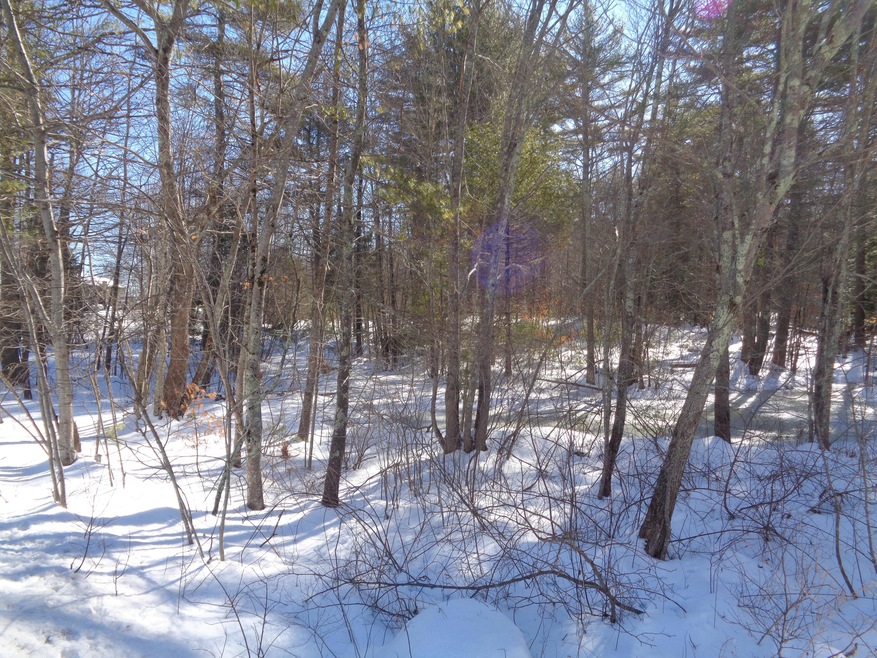 0 Mildram Rd, Wells, ME 04090 - photo 1