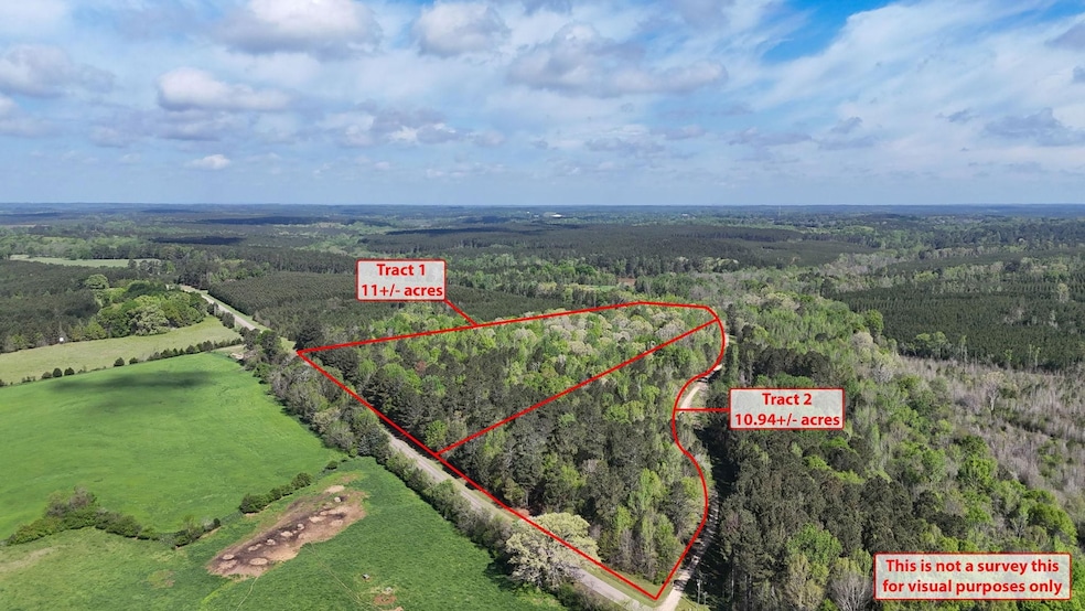 0 Skull Shoals Rd unit 23220093, Washington, GA 30673 - photo 1