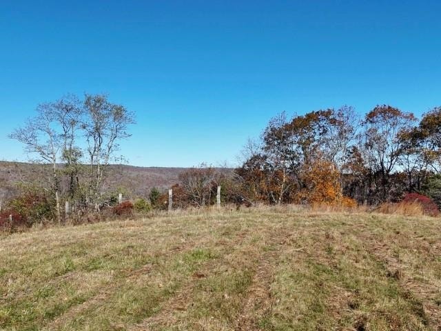 TBD Rich Hills Rd, Monterey, VA 24465 - photo 1