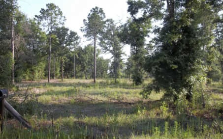 708 SW Briar Patch Terrace, Fort White, FL 32038 - photo 1