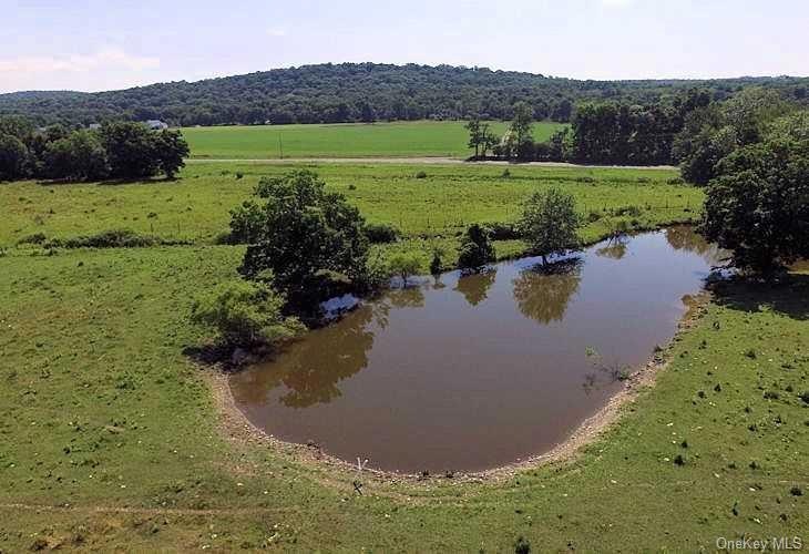 0 Route 308 unit 374332, Rhinebeck, NY 12572 - photo 1