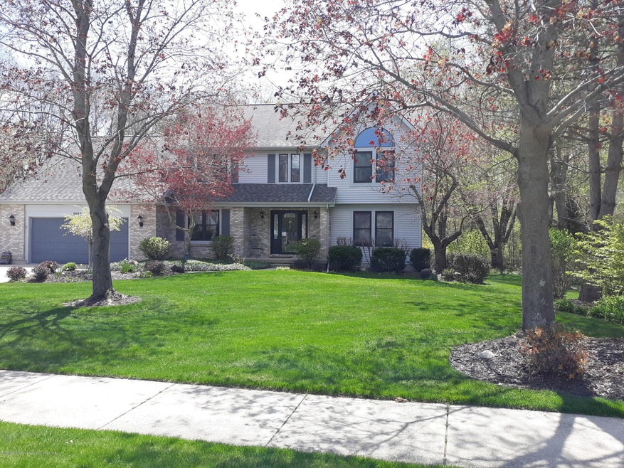 Front View