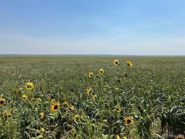 For Sale $17,140,000