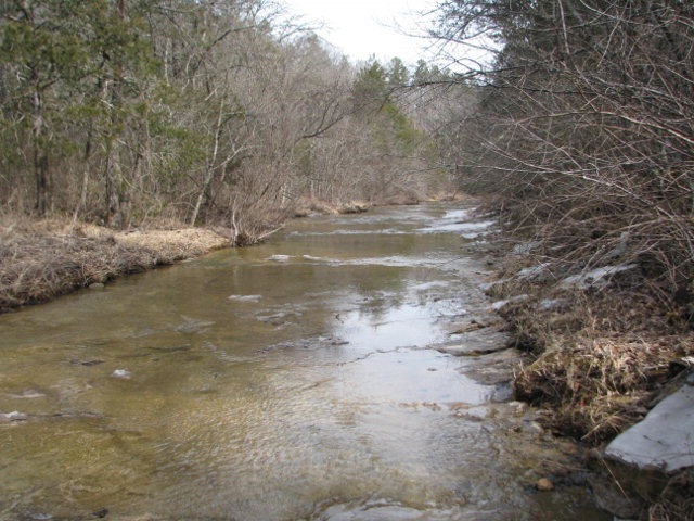 Primary Photo