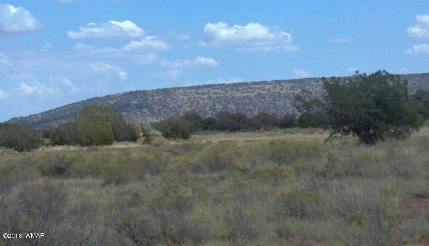 Views of Black Mesa