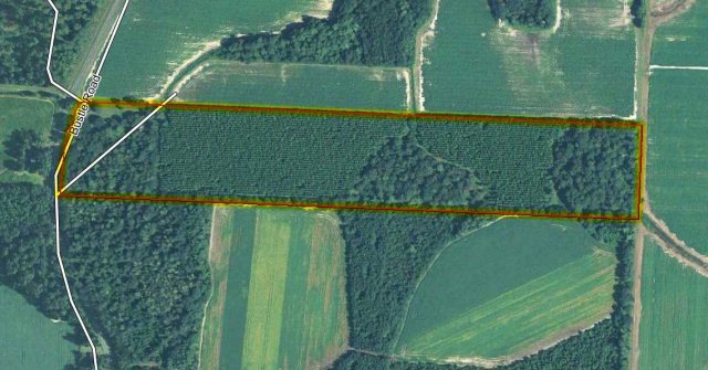 000 Bustle Rd (34+ - Acres), Thomasville, GA 31738 - photo 1