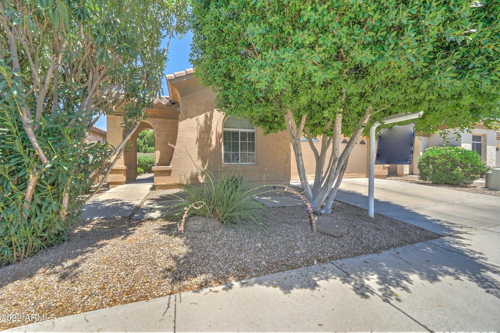 541 N Eucalyptus Pl-2