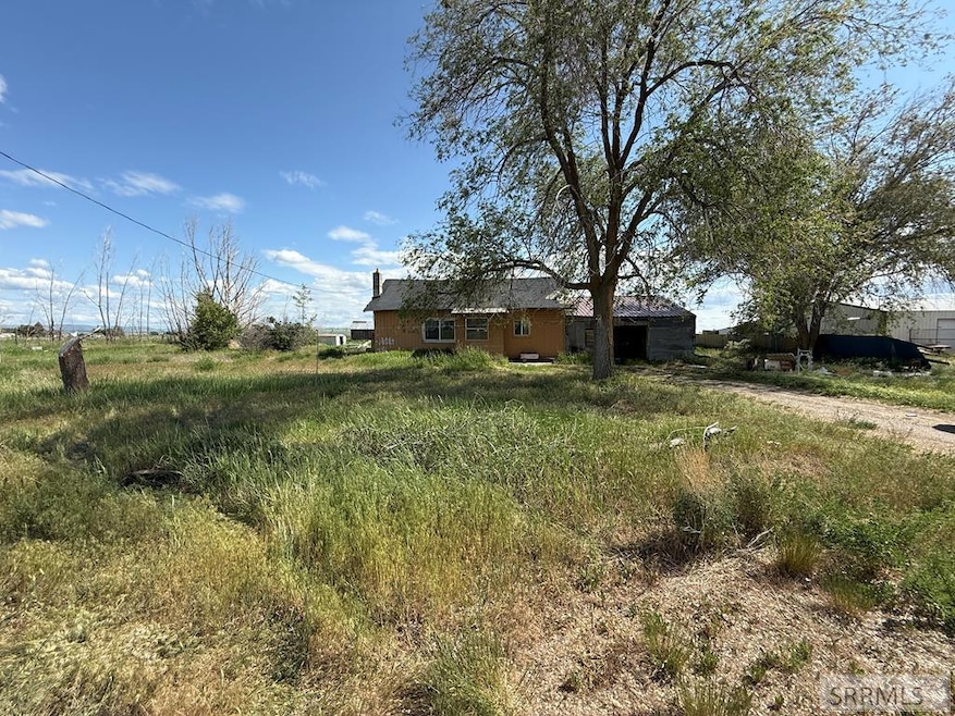 Main View