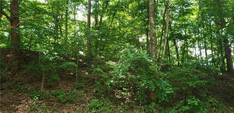 0 N Jimmy Dr unit 7028575, Rocky Face, GA 30740 - photo 1