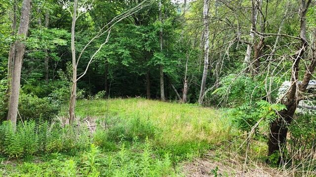 Rte. 59 Smethport Ormsby Rd., Smethport