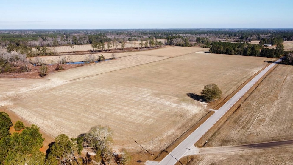 Tbd Shelley Road Coventry Rd, Nichols, SC 29581 - photo 1