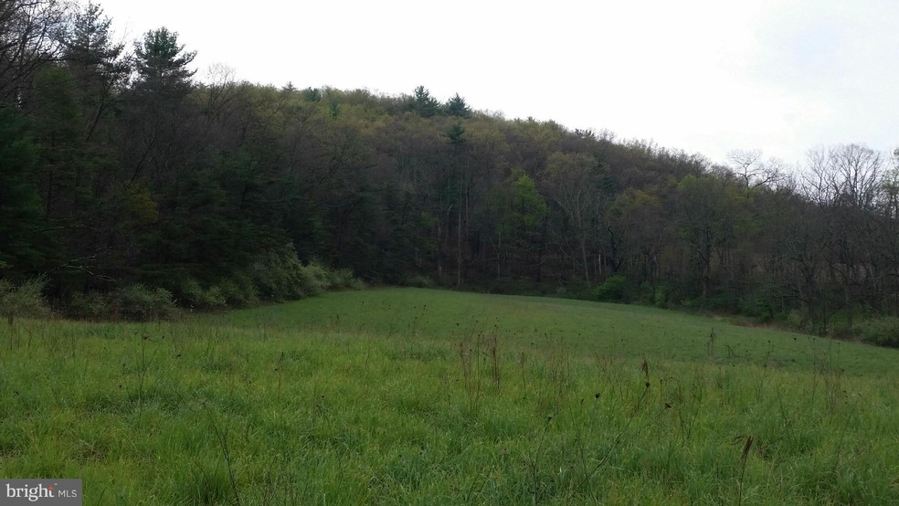 0 Great Cove Rd unit 1000208887, Warfordsburg, PA 17267 - photo 1