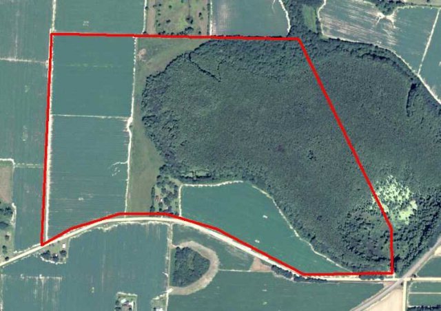 687 Postell Rd, Adel, GA 31620 - photo 1