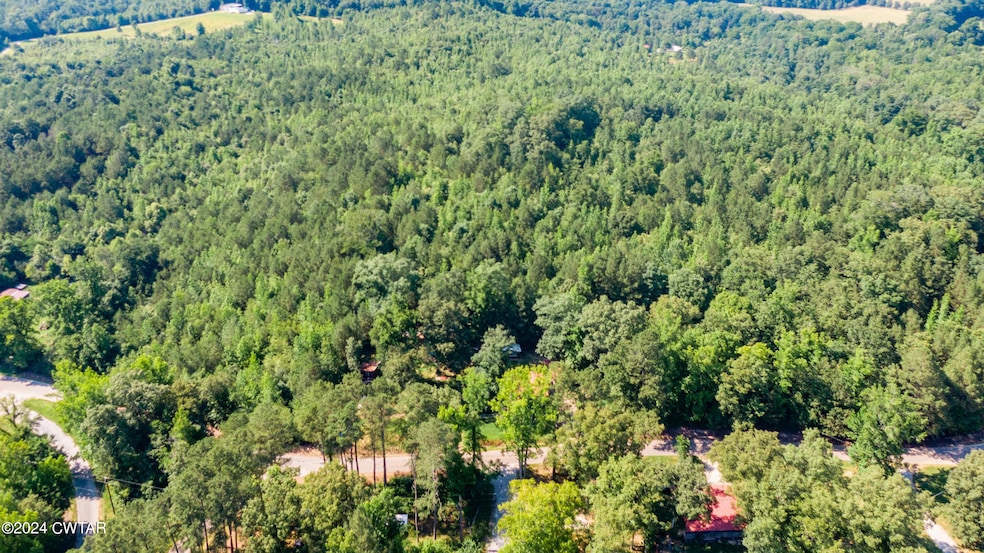 5-14 546 Morgan Creek Sugar Tree-1