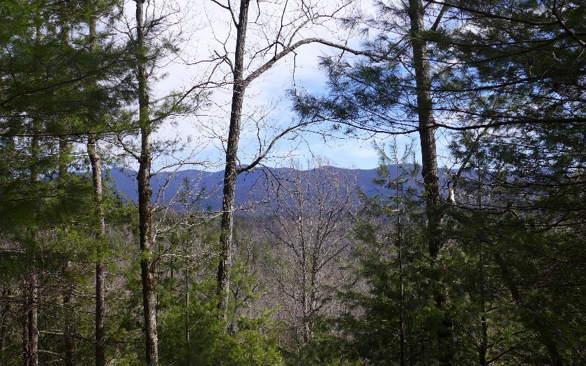 Main View