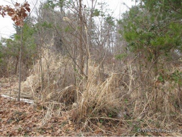 0 W Chapel Rd, Asheville, NC 28803 - photo 1