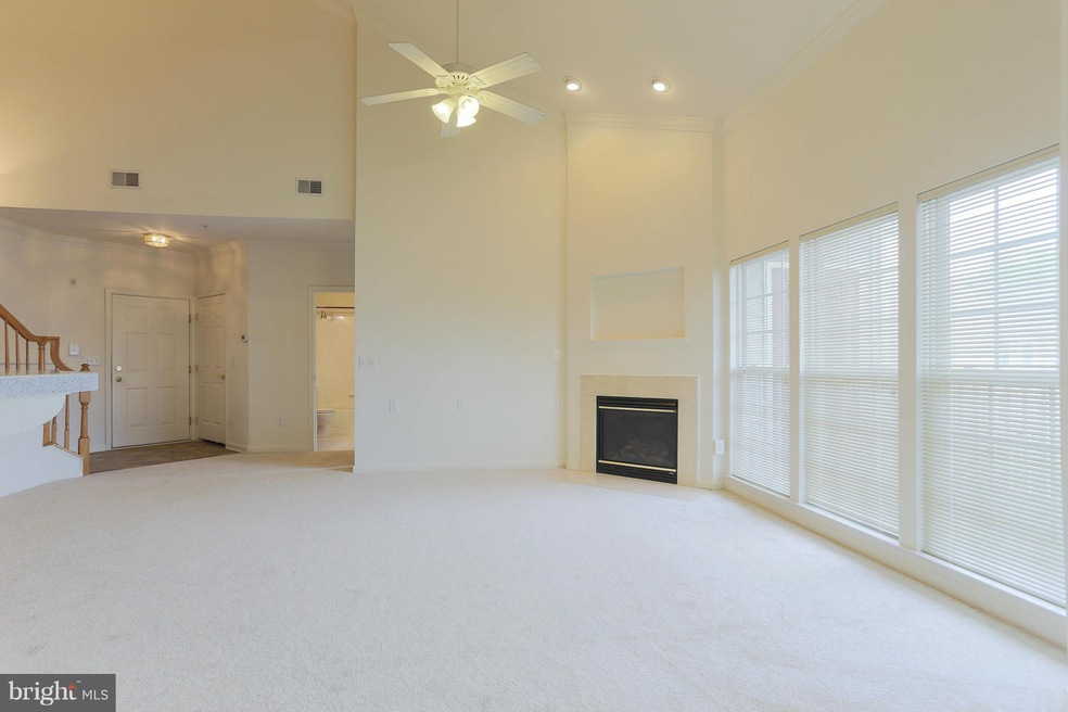 182 Glyndon Trace Dr unit 182, Reisterstown, MD 21136 - photo 1
