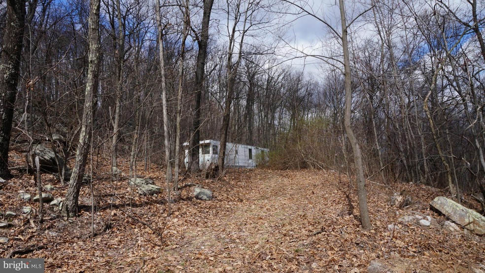 15 Roberts Ln, Berkeley Springs, WV 25411 - photo 1