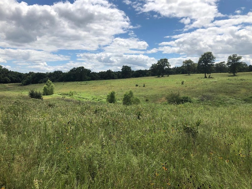 3213 School House Rd, Forestburg, TX 76239 - photo 1