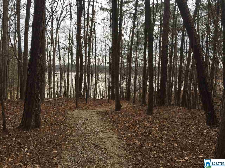 0 Firefly Run unit 84 882950, Lagrange, GA 30240 - photo 1