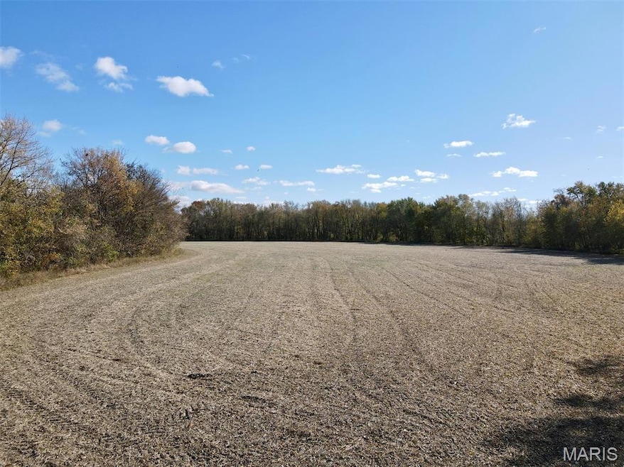 00 Patricia Rd, Germantown Township, IL 62245 - photo 1