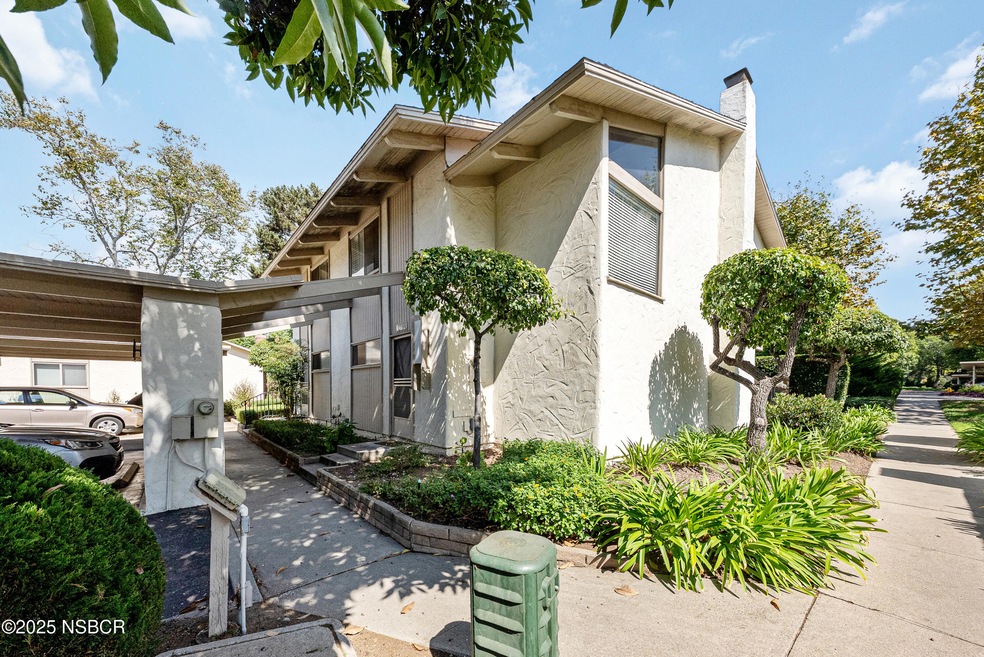 Calle Real Photos-02