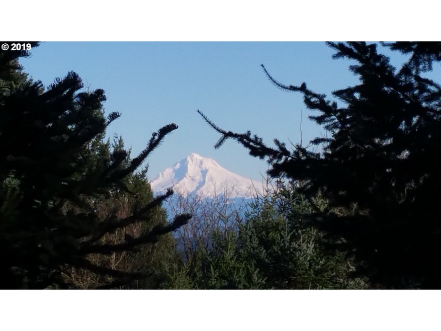 0 SW Valley View Rd, West Linn, OR 97068 - photo 1